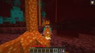 Fire resistance (Image via Minecraft)